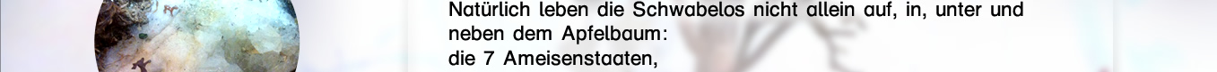 Suche mit deiner Maus nach versteckten Geheimnissen.